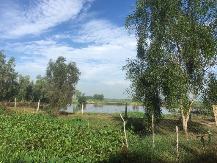 Ban Kinh tế - Ngân sách HĐND tỉnh khảo sát một số công trình, dự án chuyển mục dích sử dụng đất trồng lúa trên địa bàn huyện Châu Thành